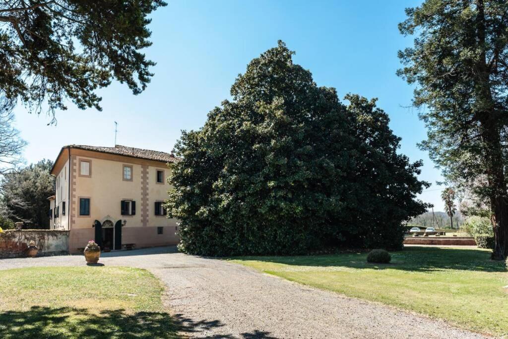 Villa Ott Crespina Exterior foto