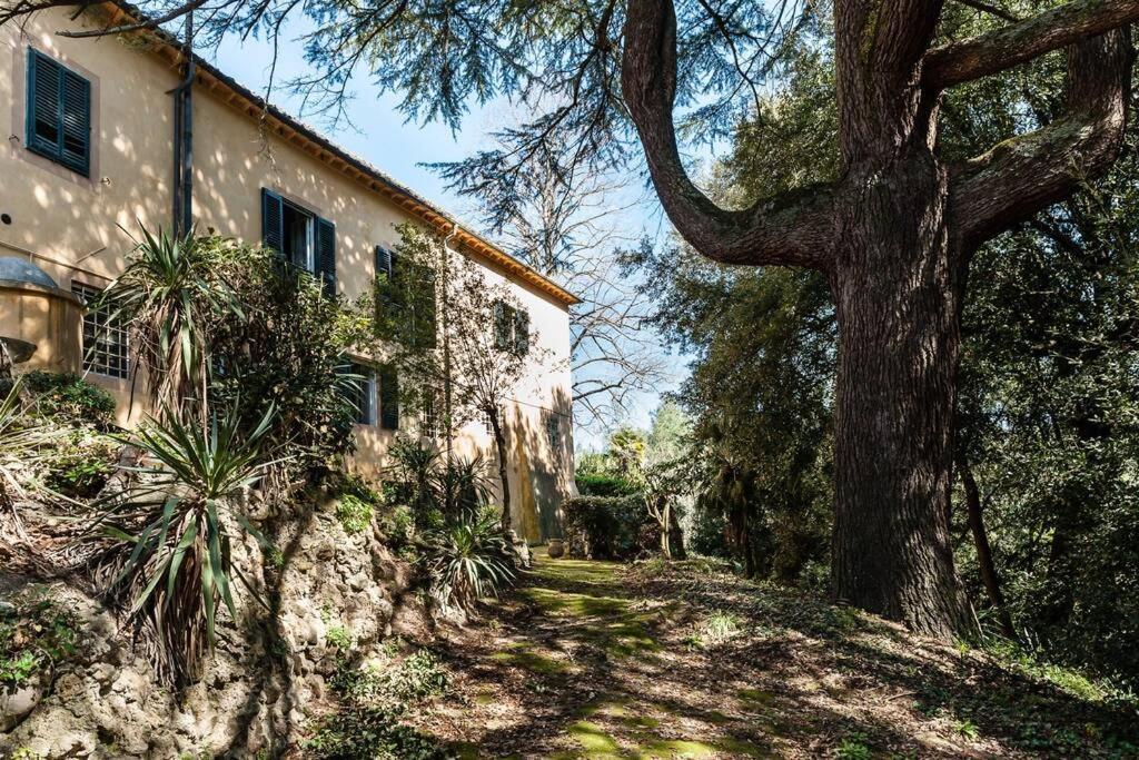 Villa Ott Crespina Exterior foto